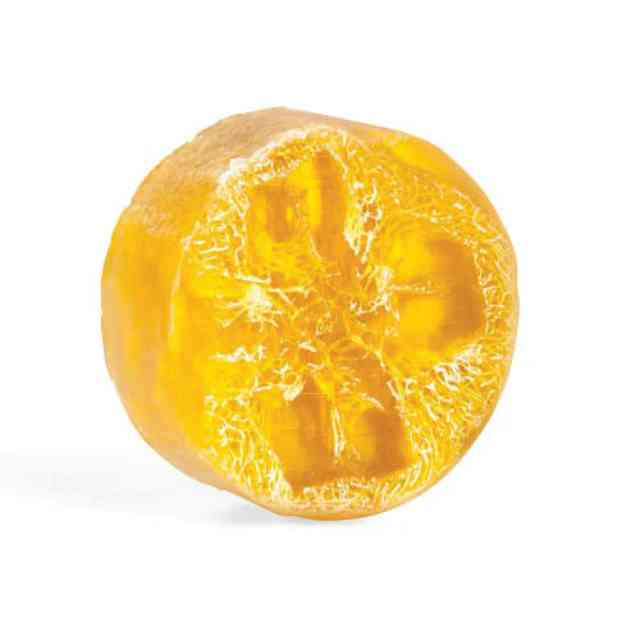 Lemon Verbena Loofah Soap
