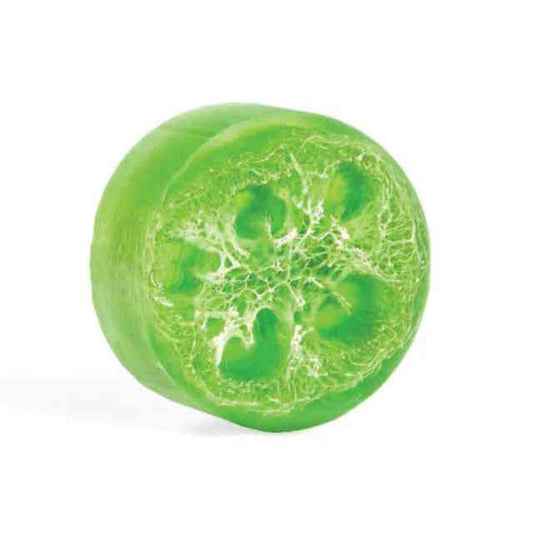 Coconut Lime Loofah Soap